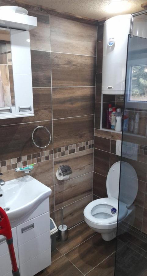 Apartmani Milosavljevic Divčibare Екстериор снимка